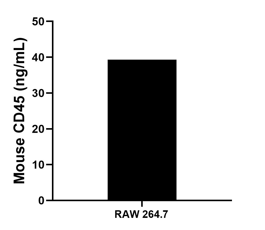 The mean mouse CD45 concentration was determined to be 39.3 ng/mL in RAW 264.7 cell extract based on a 4.8 mg/mL extract load.